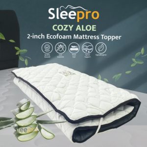 Aloe Topper 1 Cozy Aloe 2 inch Ecofoam Mattress Topper